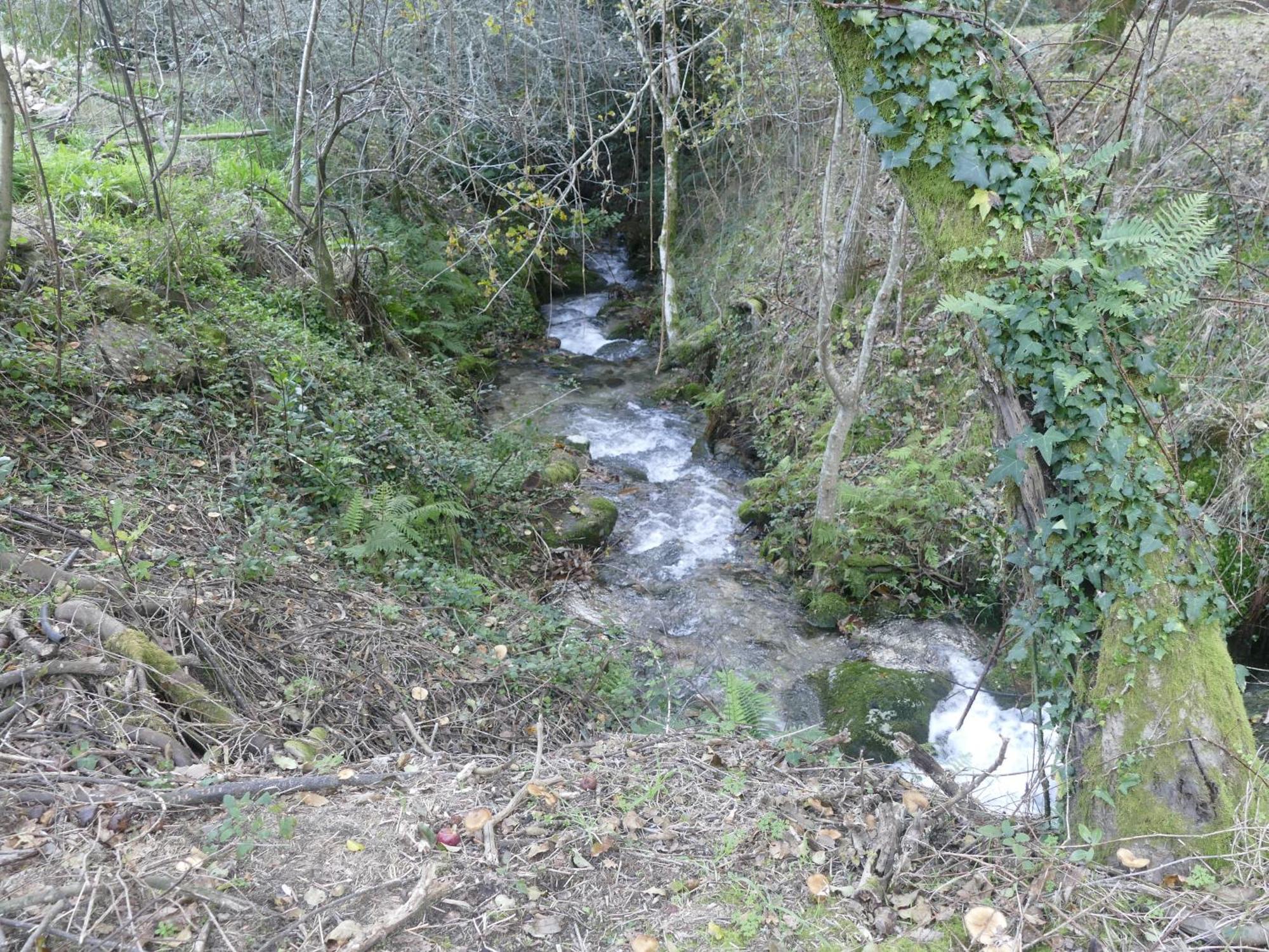 Casita A Estrenar En Finca Con Rio Proxima A Tui, Gondomar Y Portugal. Εξωτερικό φωτογραφία