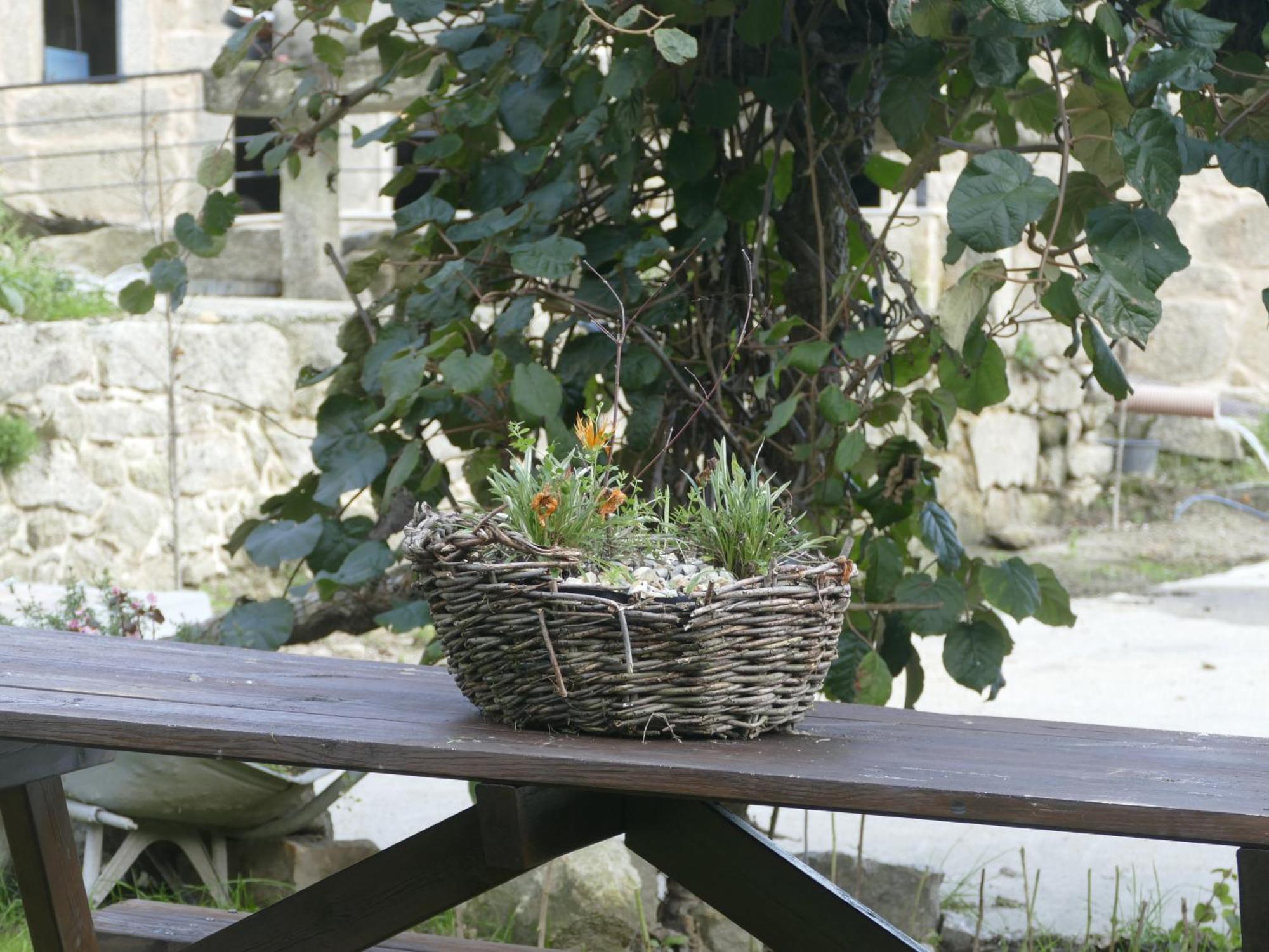 Casita A Estrenar En Finca Con Rio Proxima A Tui, Gondomar Y Portugal. Εξωτερικό φωτογραφία