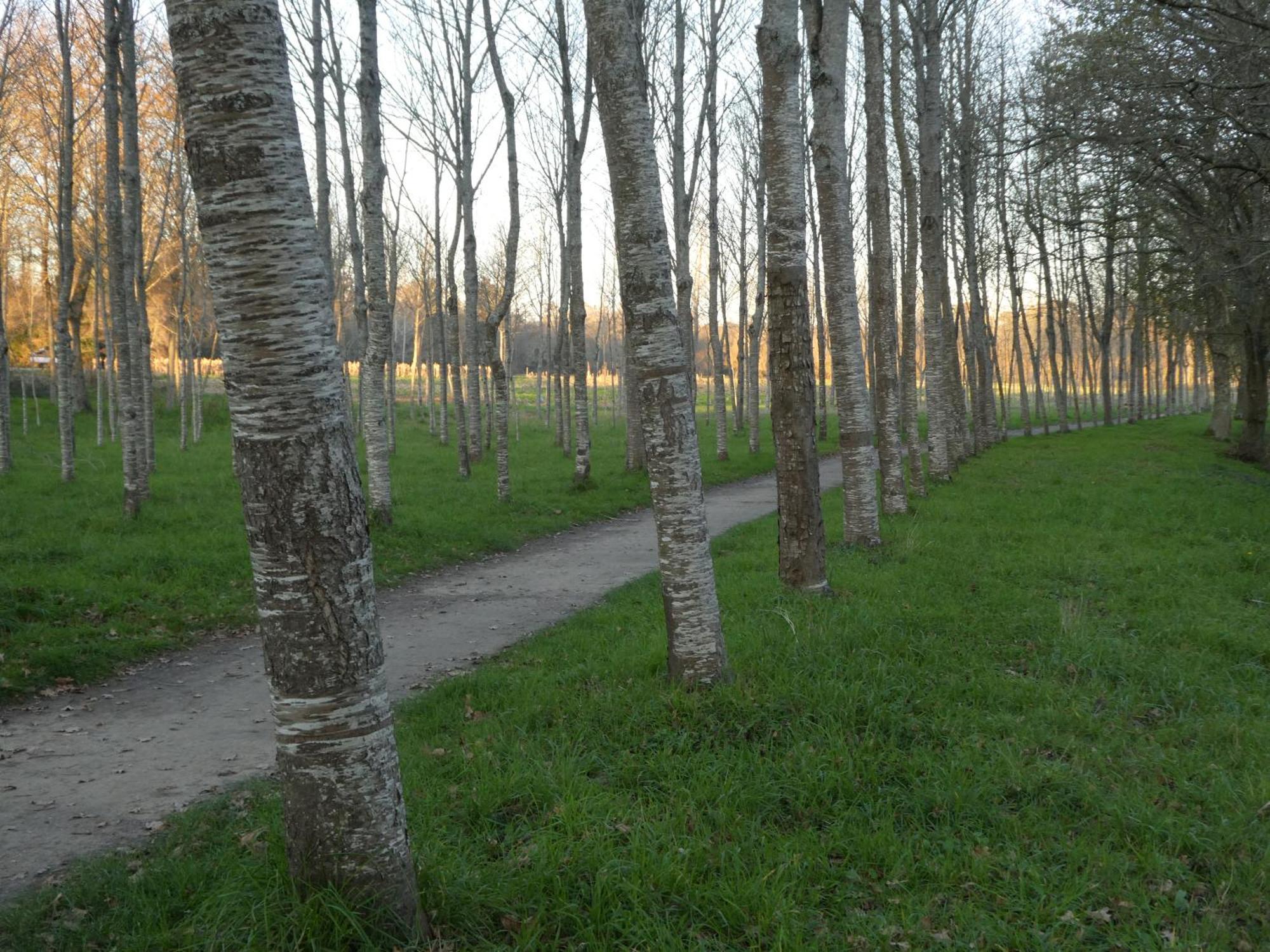 Casita A Estrenar En Finca Con Rio Proxima A Tui, Gondomar Y Portugal. Εξωτερικό φωτογραφία